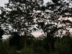 -中国移动南方基地