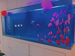 -宫七SPA·高端Massage(浦东大道店)