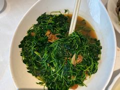 -洋洋中餐馆·SINCE 1997(龙湖星湖天街店)