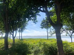 -阳澄湖半岛旅游度假区