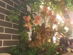 卡座-百年神厨·地道川菜(清江西路店)