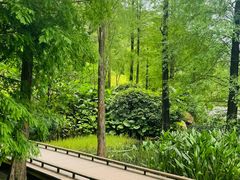 -云溪植物园