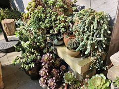 -华冠悠岚·庭院餐厅(青城后山店)