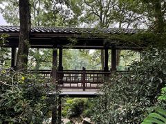 -南山植物园