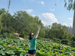 -南翠屏公园