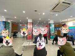 -中国移动(田林路营业厅)