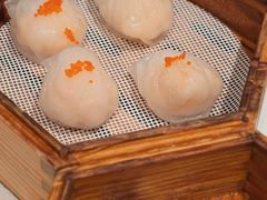 笋尖虾饺皇-粤来记·啫啫煲·点心(日月光店)