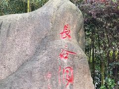 -长谷洞天