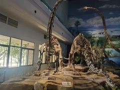 -自贡恐龙博物馆