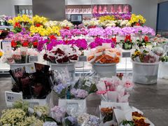 -盒马X会员店(王府井奥莱UP TOWN店)