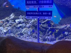 -横店影视城梦幻谷园区