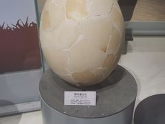 -正佳自然科学博物馆