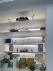 -斐尔国际皮肤管理中心