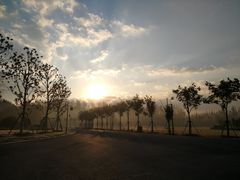 -黄海国家森林公园