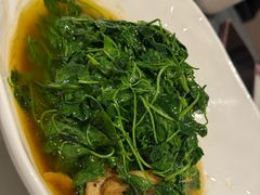 -松鹤楼(狮山永利广场店)