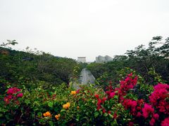 -云溪植物园