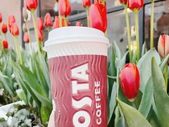 -COSTA COFFEE(上海月星环球港店)