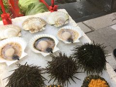 -蚝专家(北滘店)