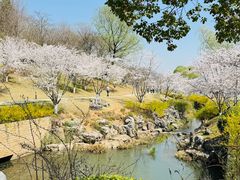 -羊山湖公园