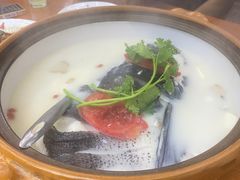 千岛湖浓汤鱼头-全乐鱼馆·淳牌有机鱼直营店