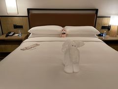 -三亚亚龙湾万豪度假酒店