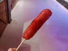 -萌宠奇缘