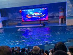-锦艺城海洋馆