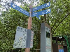 -梧桐山风景名胜区