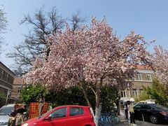 -天津五大道文化旅游区