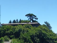 -妙峰山风景名胜区