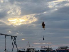 -深圳海钓·深圳钓鱼·拓展聚会鱼排