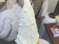 -野人先生Gelato(上海长宁龙之梦店)