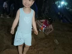 -宝安西湾红树林湿地公园