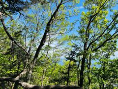 -罗田薄刀峰风景区