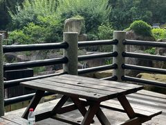 -白马涧龙池景区