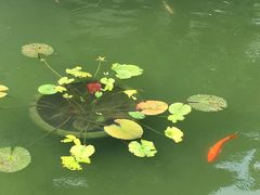 -粤剧艺术博物馆