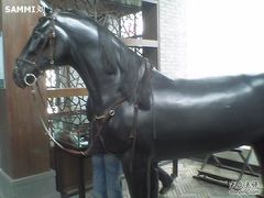 -松声马术俱乐部