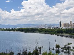 -野菌皇海景野生菌火锅(滨海大道店)