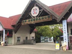 -上海海湾国家森林公园