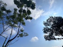 -高榜山景区