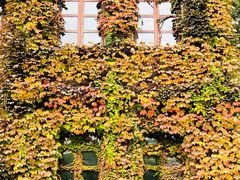 -半岛1919创意园区