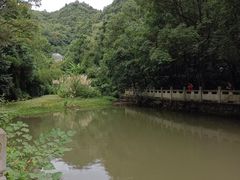 -黔灵山公园