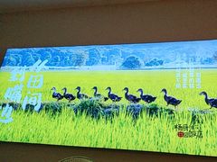 -杨厨的田园饭店(长城路店)