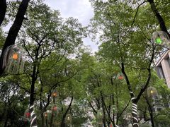 -元一希尔顿酒店·禅自助餐厅·啤酒花园