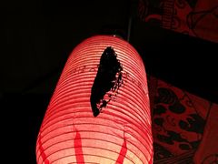 -石葵(锦业时代店)