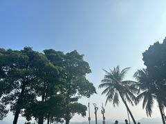 -深圳湾公园(南山区)