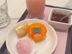 -虹桥机场国航贵宾室v8