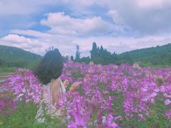 -名花谷生态庄园