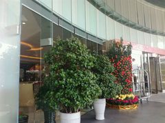 -深圳香格里拉酒店