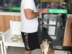 -瑞鹏宠物医院·内科·中兽医·骨科(苗圃店)